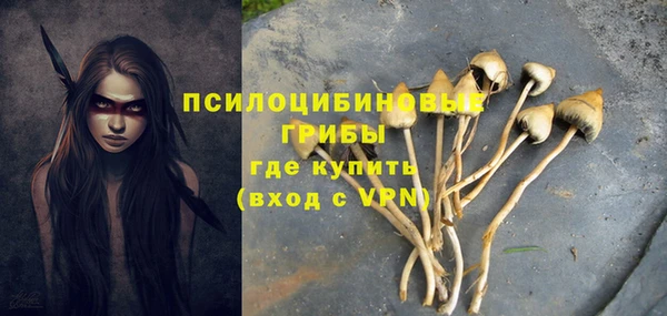 спиды Абинск