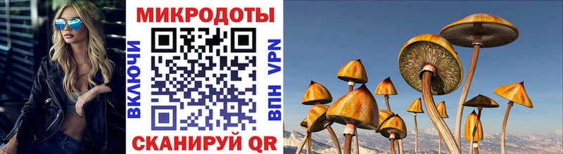мега ссылка  Сысерть  Галлюциногенные грибы Magic Shrooms 