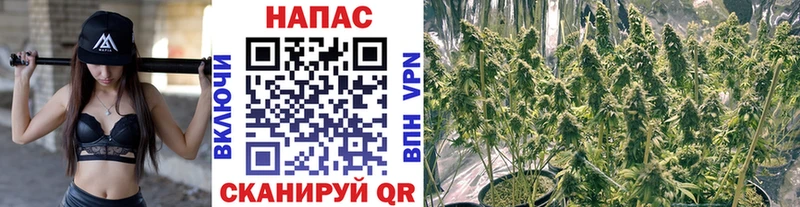Каннабис THC 21%  купить закладку  Сысерть 